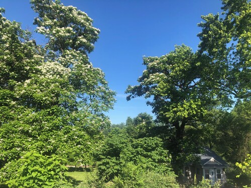 2 Bdrm Urban Acreage just outside Des Moines city limits 10min from downtown.
