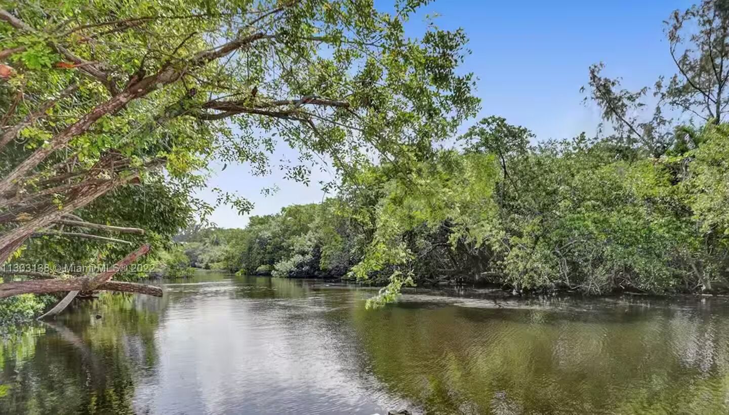 Un río tranquilo rodeado de vegetación densa y árboles.