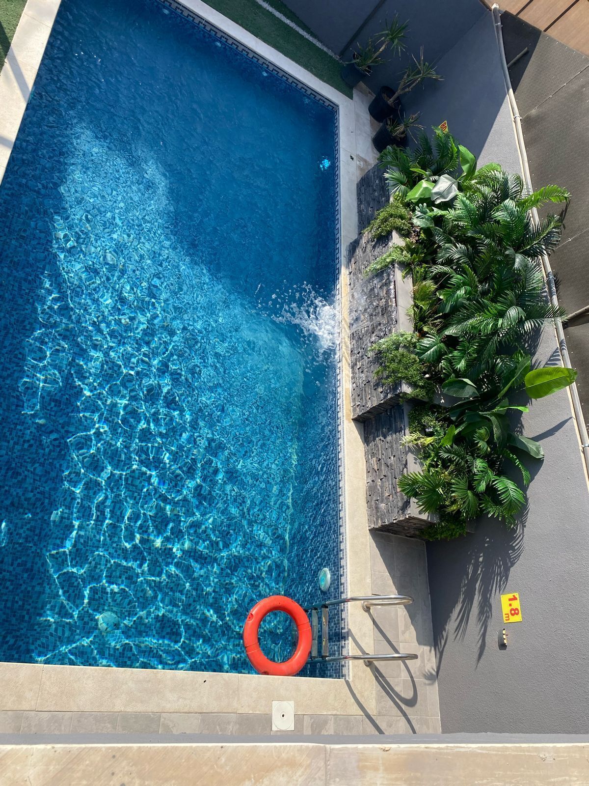 Una piscina rectangular con agua azul cristalina, rodeada por un solado de baldosas y macetas con plantas.