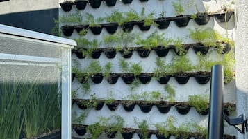 Parco della struttura