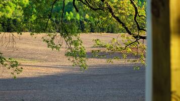 Udsigt fra overnatningsstedet