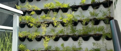 Terrain de lâhĂ©bergement