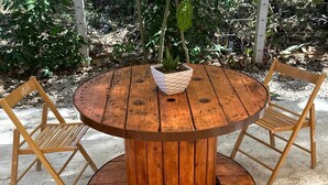 Una mesa redonda de madera con una planta en maceta en el centro, rodeada por dos sillas de madera.