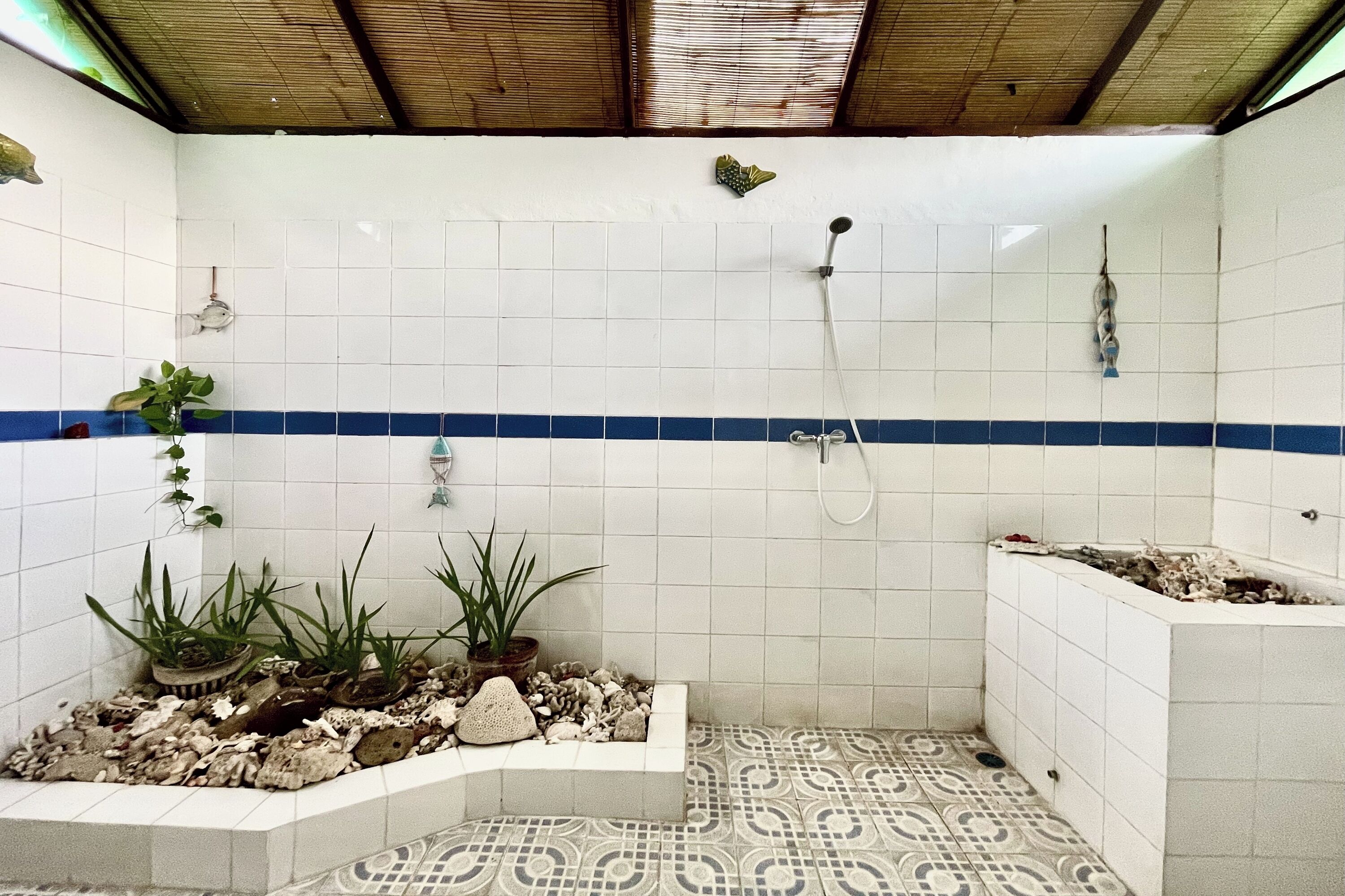 A bathroom with white tiled walls, a blue accent strip, a shower area, a bathtub, and decorative plants.