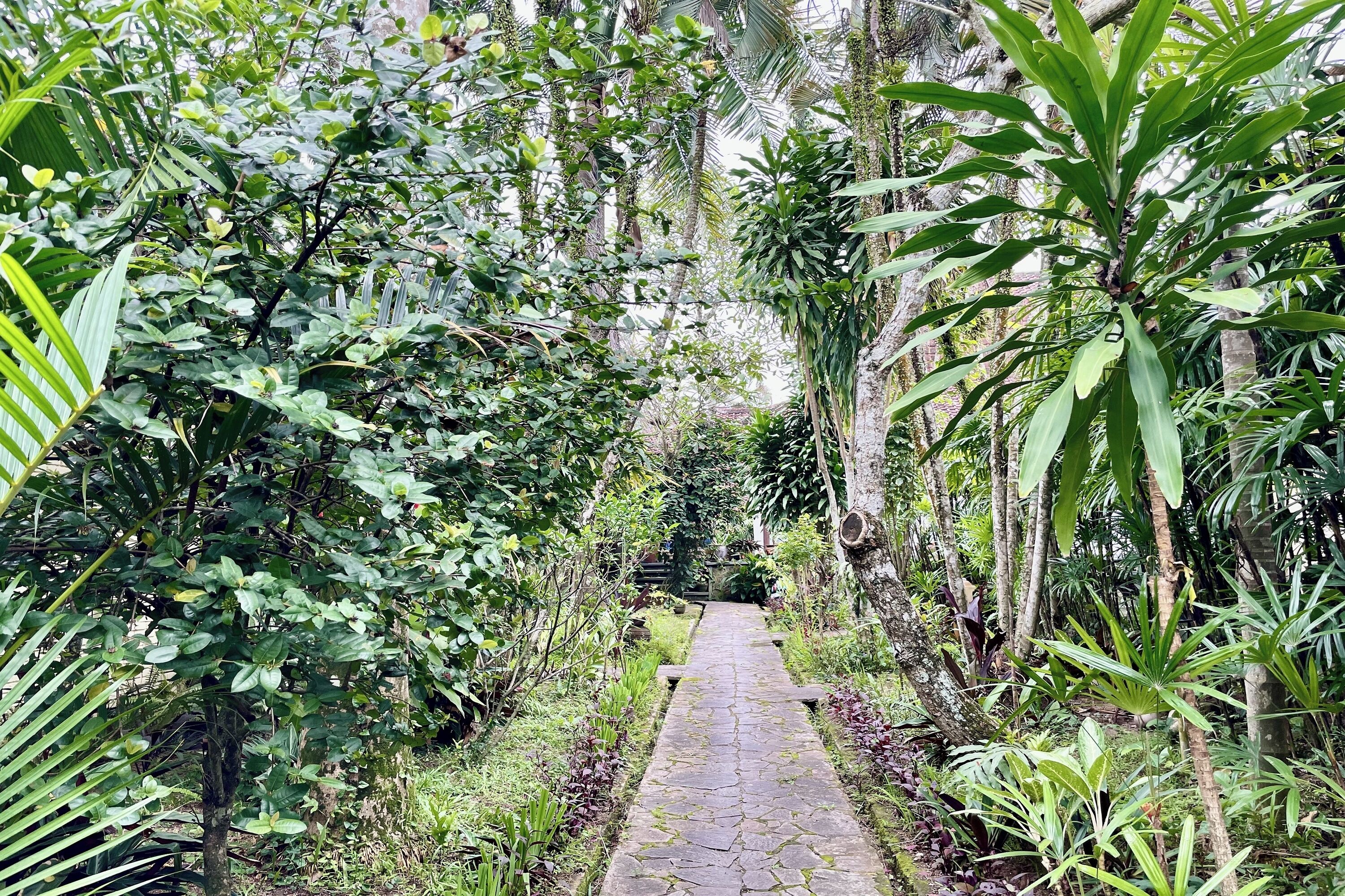 A stone pathway flanked by lush greenery and tropical plants.