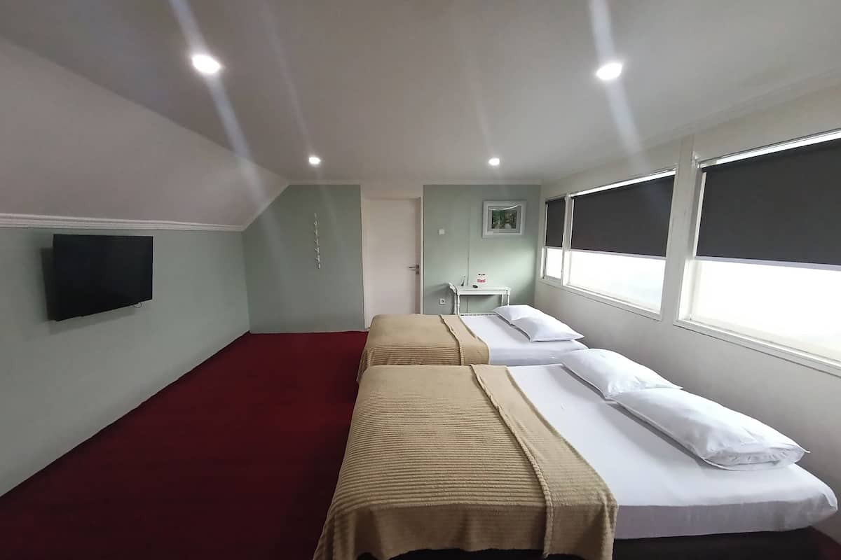 Habitación familiar con 2 camas individuales | Escritorio, wifi gratis y ropa de cama