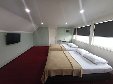 Family Twin Room | Desk, free WiFi, bed sheets