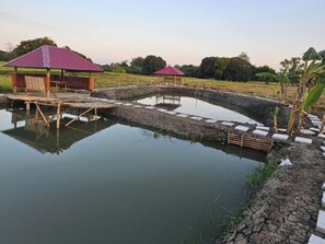 Fachada del alojamiento