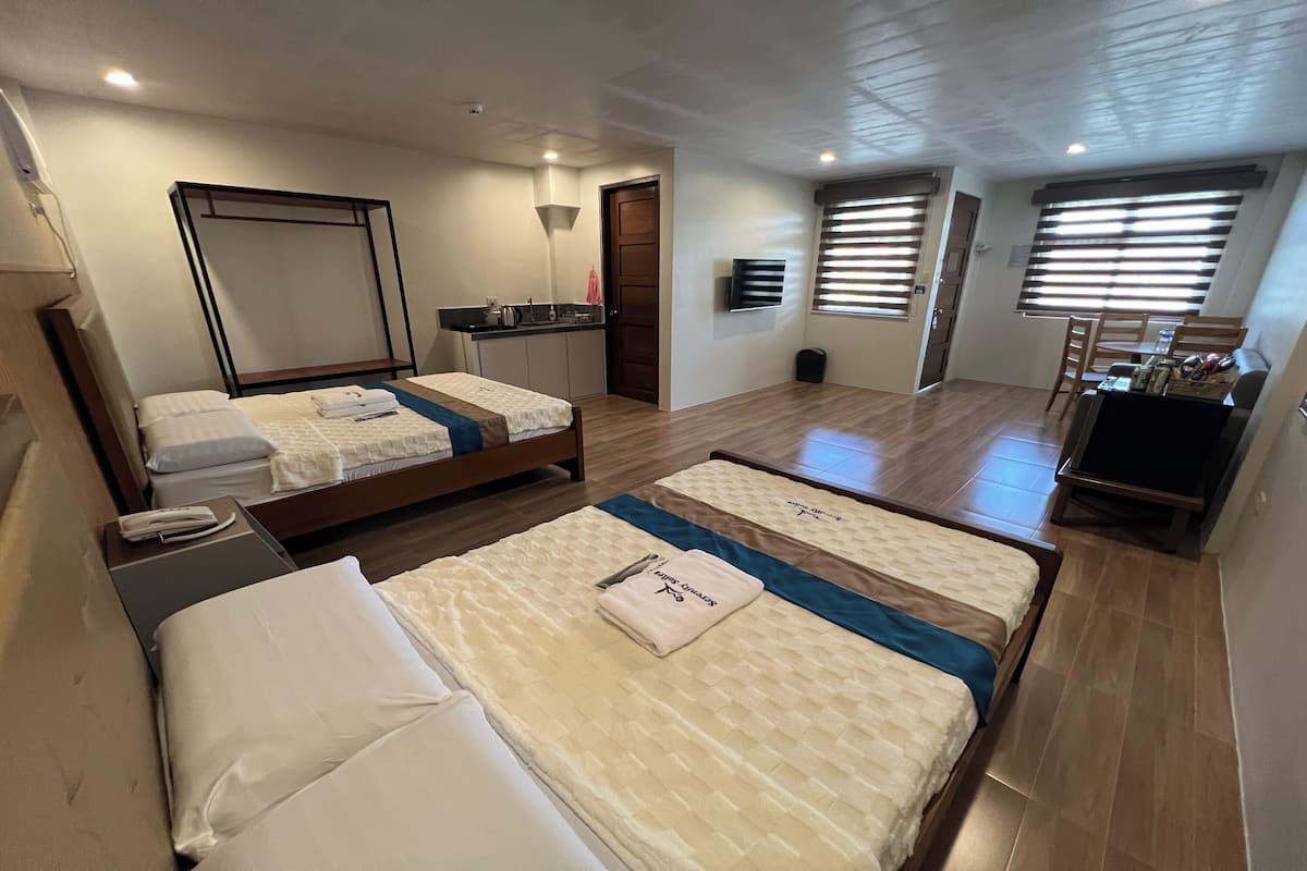 Minibar, desk, iron/ironing board (on request), free WiFi