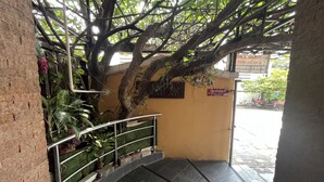 A staircase with a metal railing, a tree with hanging plants, and a door leading outside. - Green Place 107 (Bangkok)