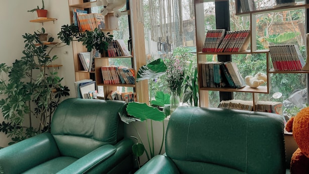 Une pièce chaleureuse avec un canapé en cuir vert, une bibliothèque remplie de livres et diverses plantes en pot.