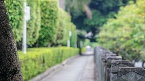 未分類圖片，第 3 張 (共 71 張)，按鈕