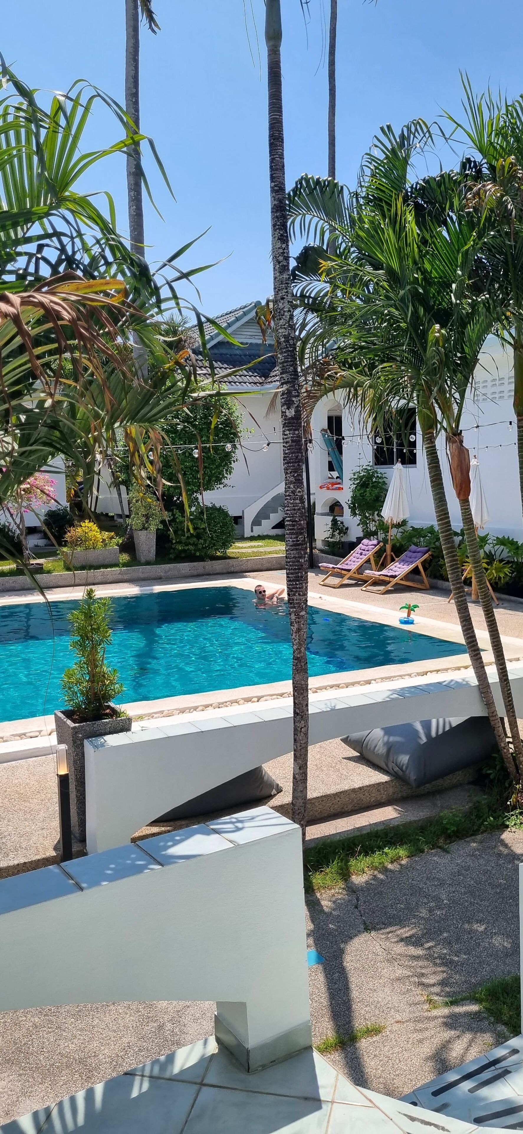 Ein Swimmingpool mit Liegestühlen und Palmen, umgeben von einem weißen Gebäude mit einem Ziegeldach.