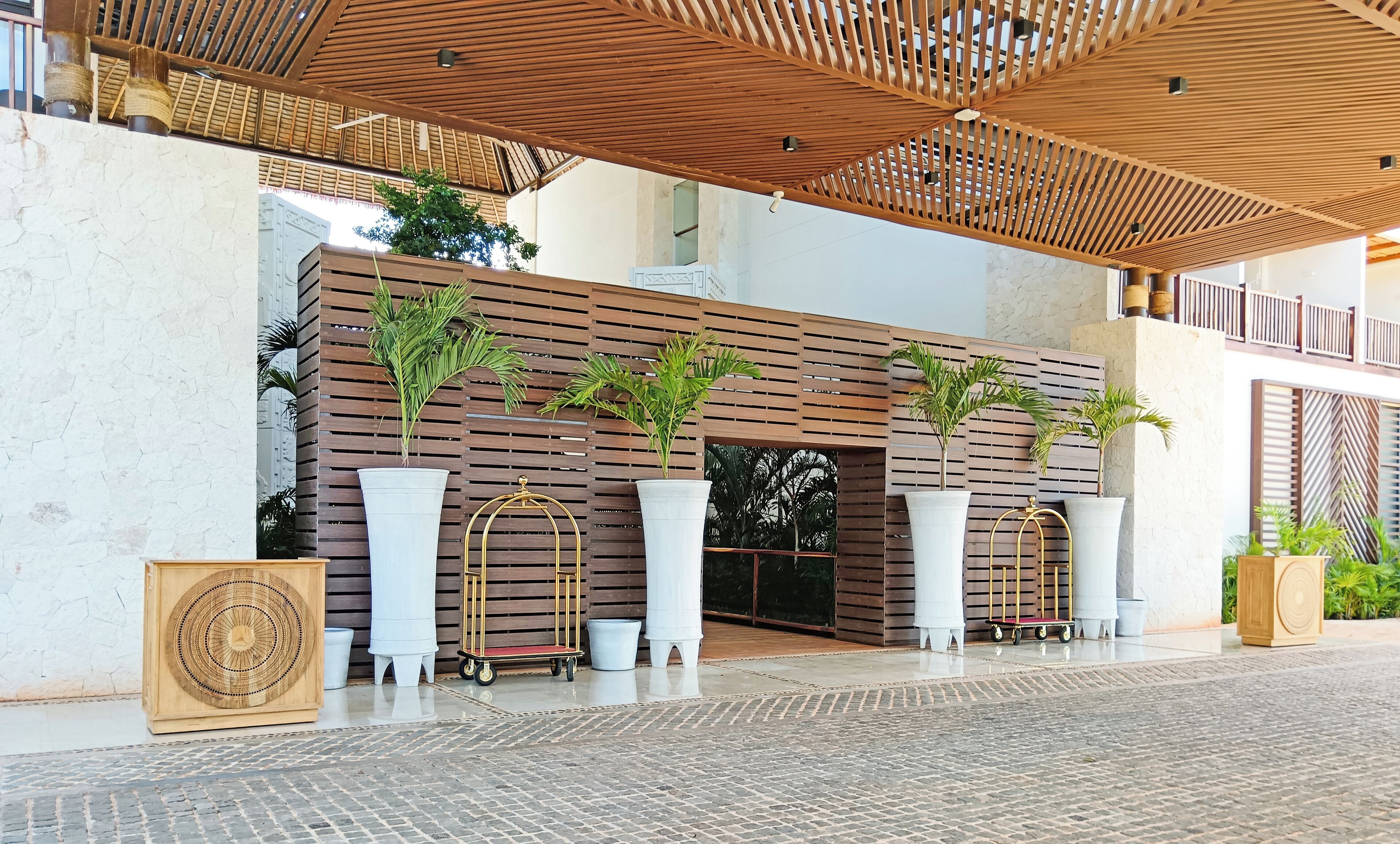 A modern building entrance with a wooden slatted roof, large potted plants, and a white wall with horizontal lines.