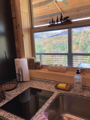 A kitchen with a granite countertop, a stainless steel sink, a window with a view of a forest, and a bottle of hand soap.