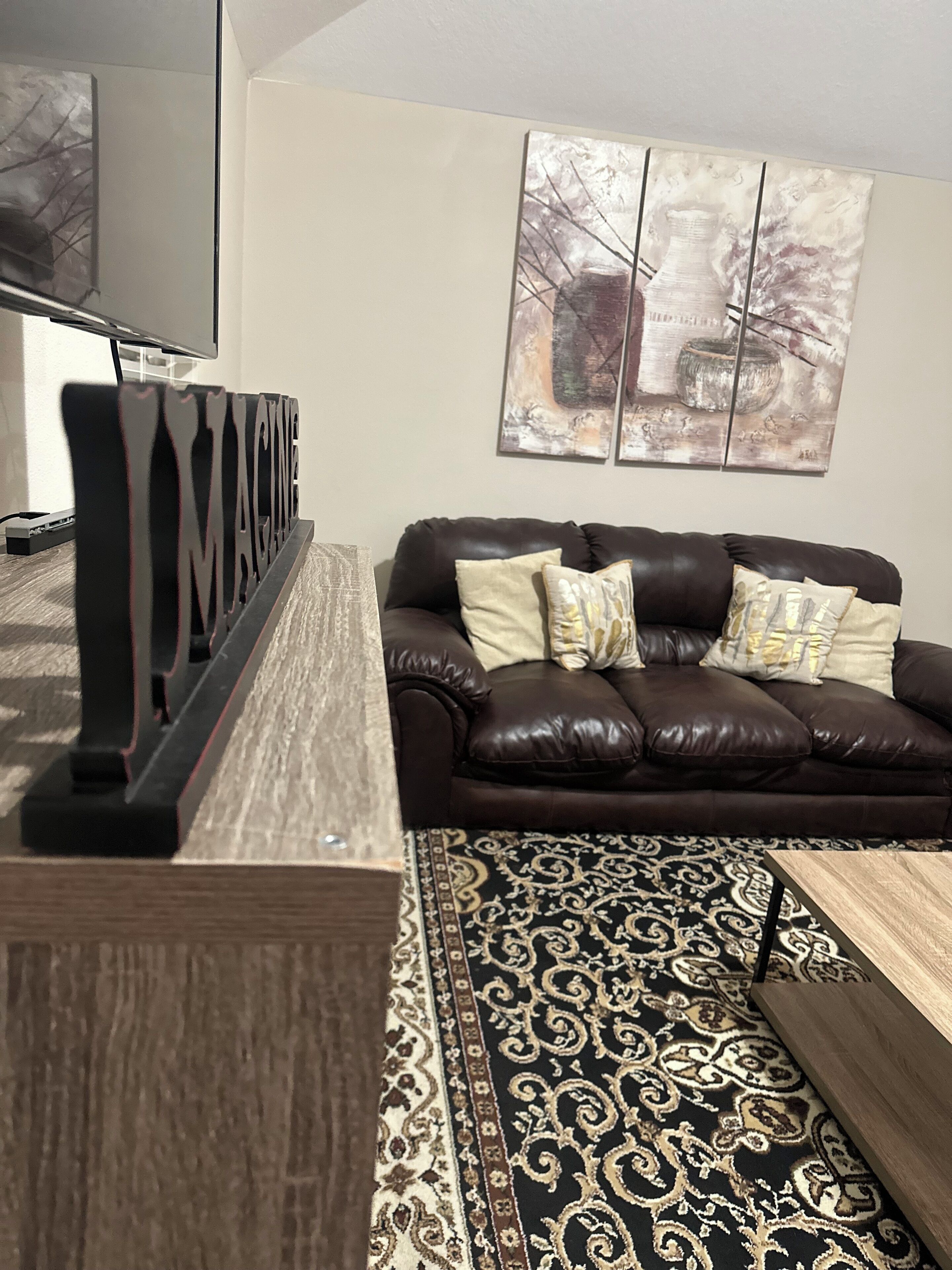 Smart TV, fireplace, DVD player, books