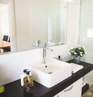 Séchoir à cheveux, serviettes fournies, savon, papier de toilette