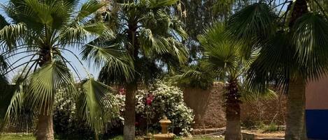 A garden with palm trees, a fountain, and a brick pathway.