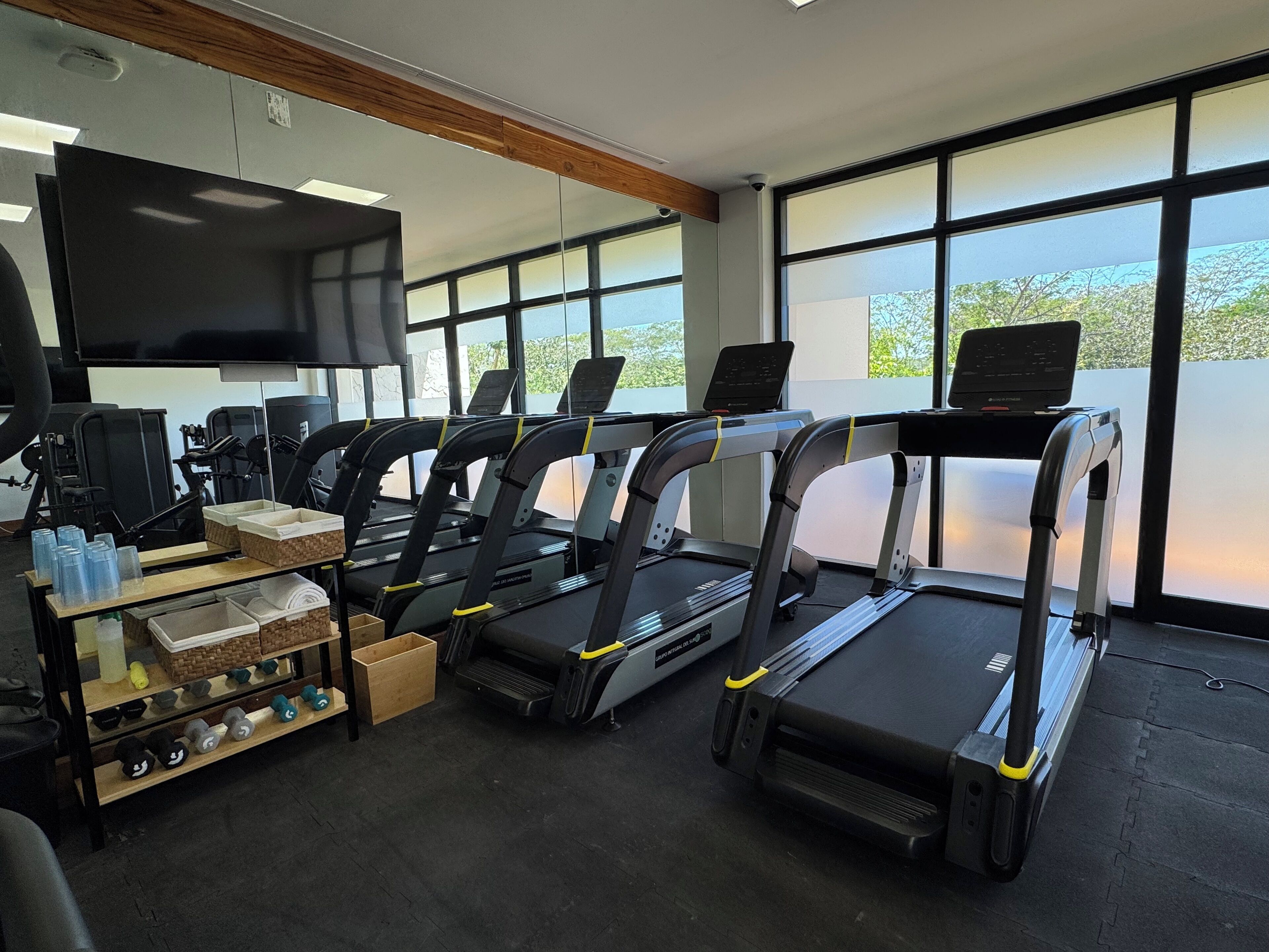Gym
