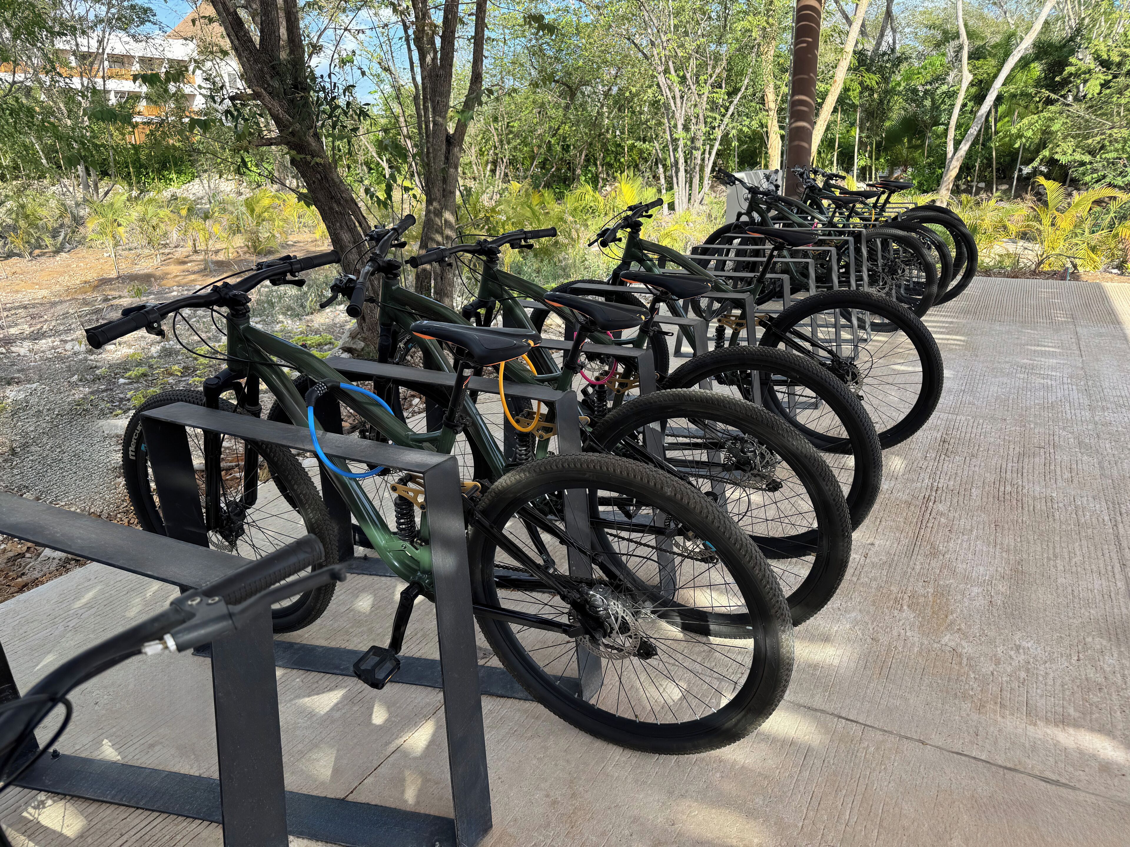 A row of bicycles parked on a concrete path in a park with trees and buildings in the background.
