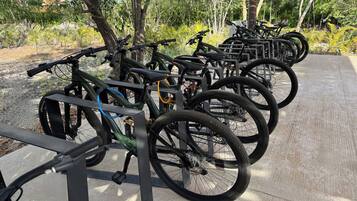 A row of bicycles parked on a concrete path in a park with trees and buildings in the background.