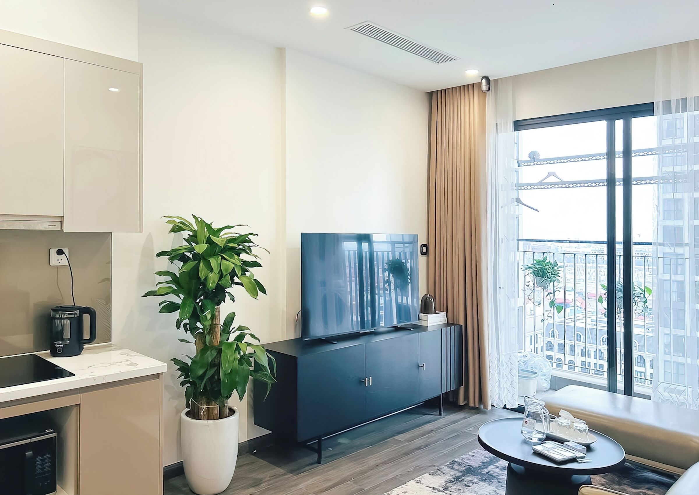 A modern living room with a flat-screen TV, a large potted plant, a sofa, and a balcony with a view of the city.