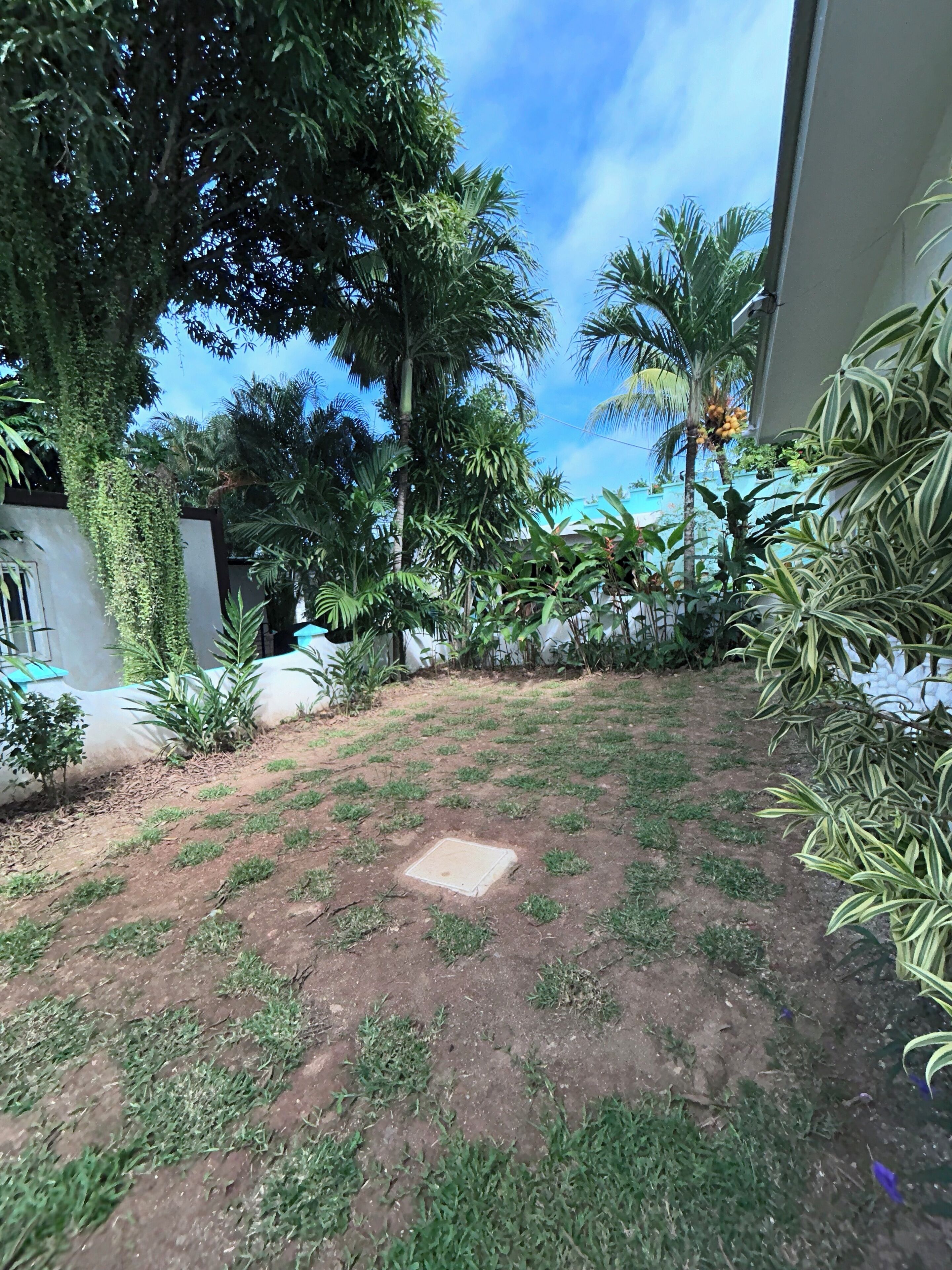 Un jardín con diversas plantas y un área pavimentada.