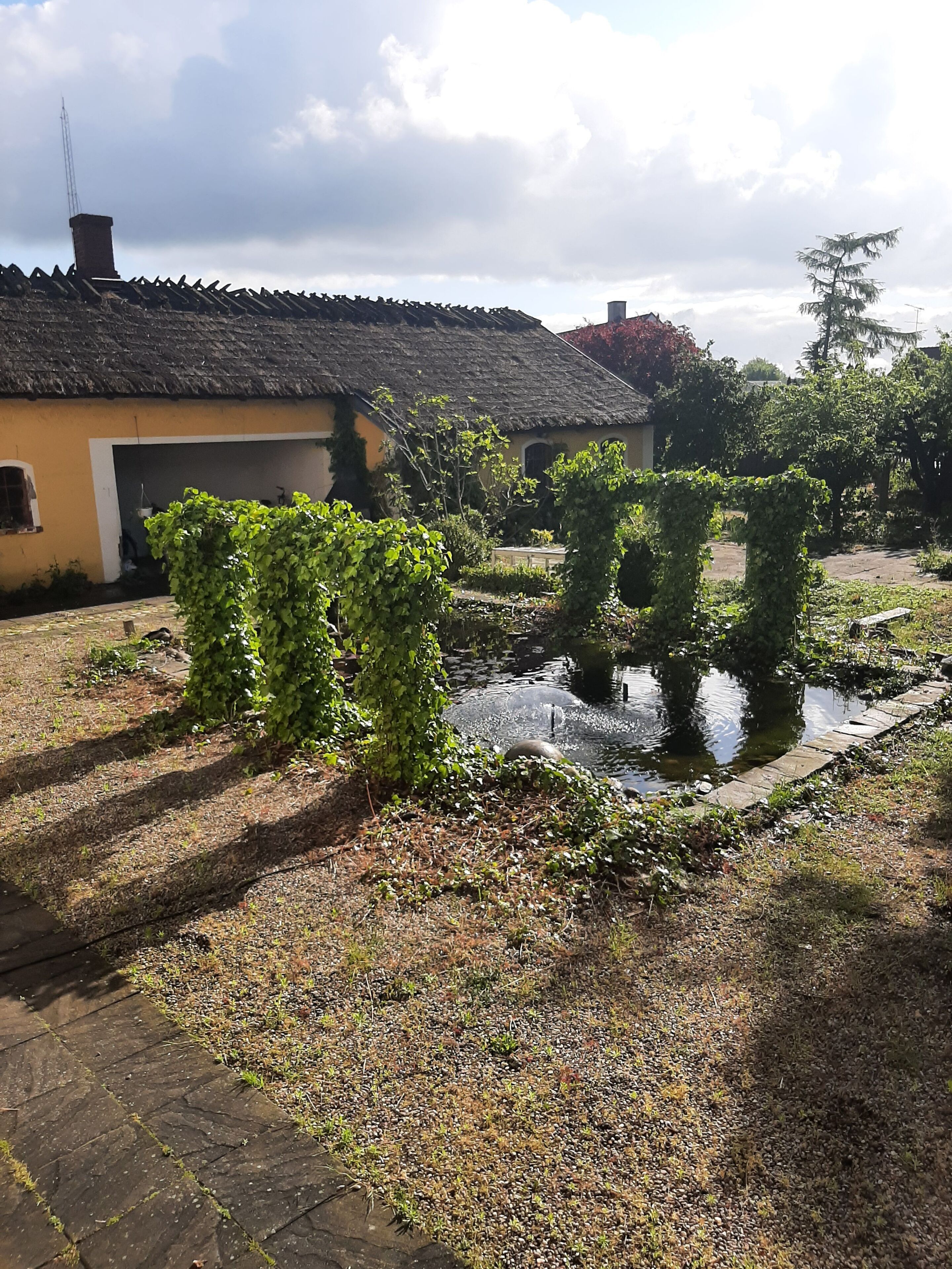 Tuin