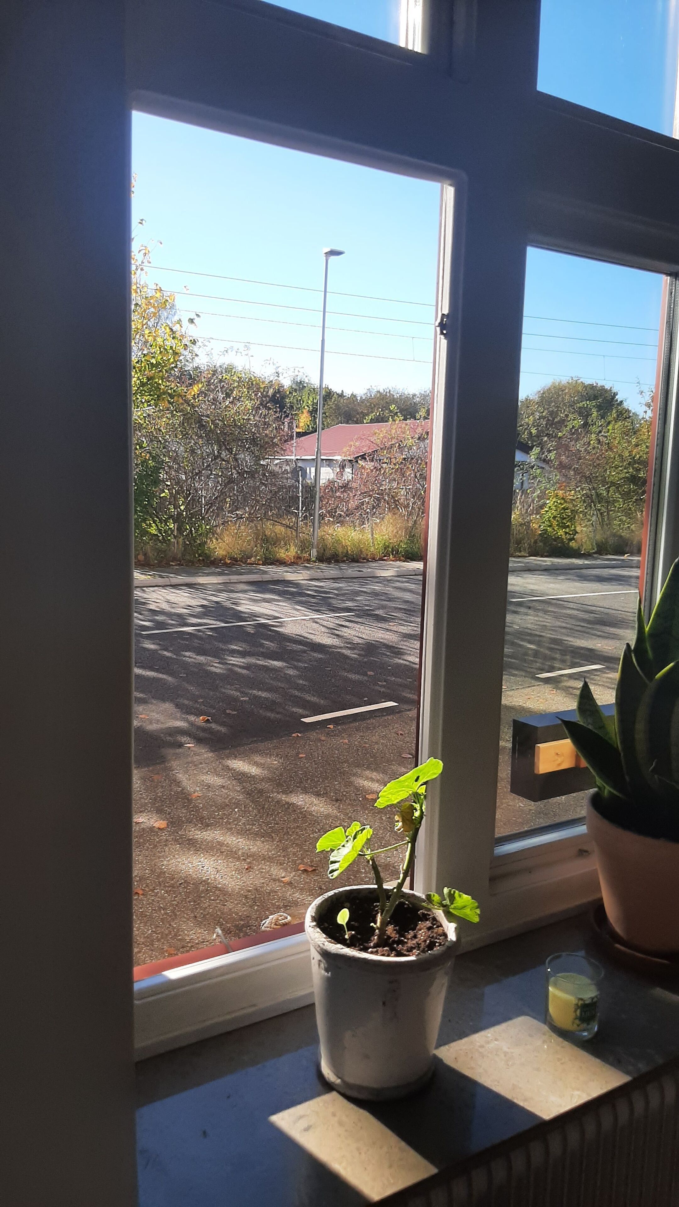 Room, 1 Bedroom, Smoking | Interior