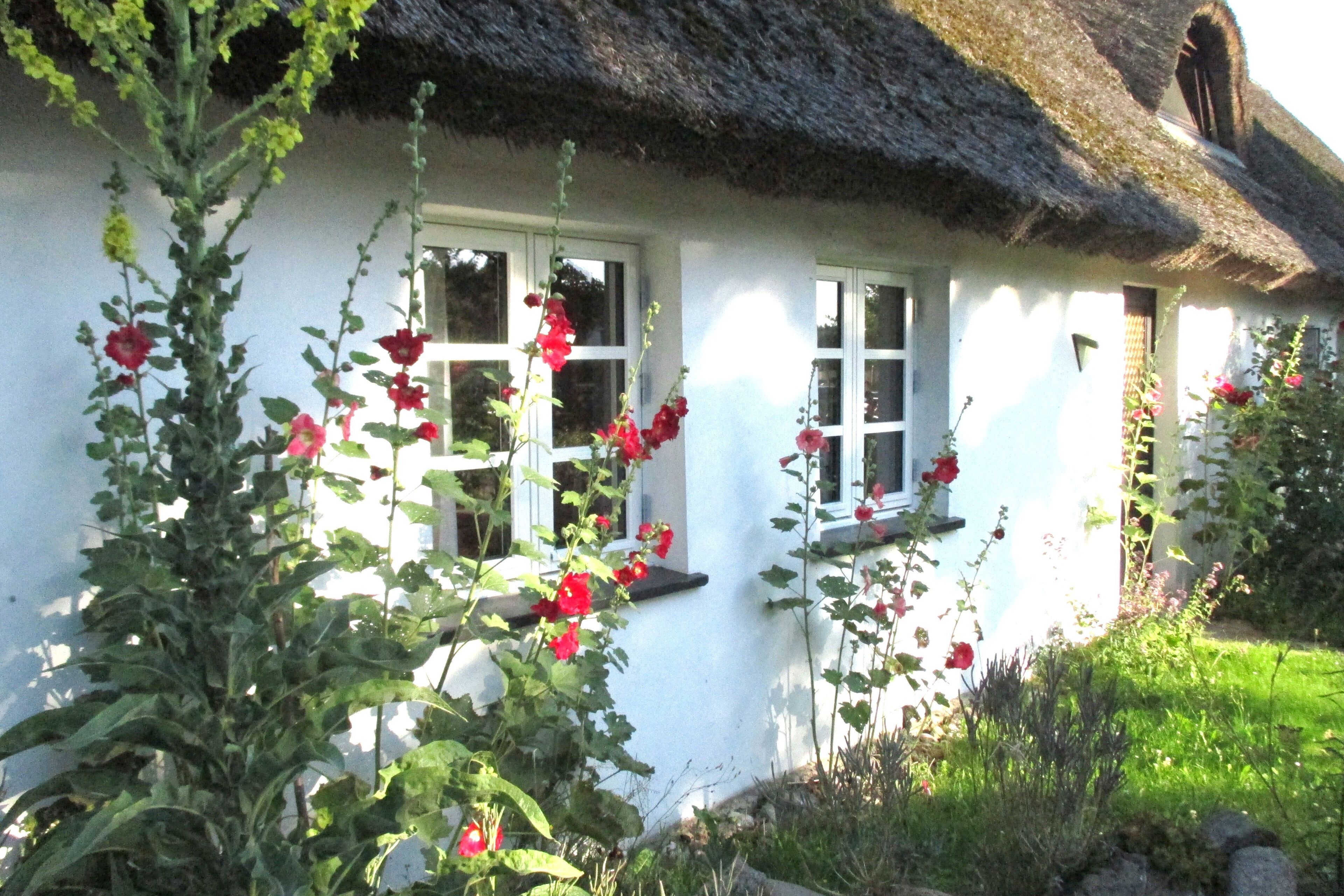 Ferienwohnung im alten Reetdachhaus