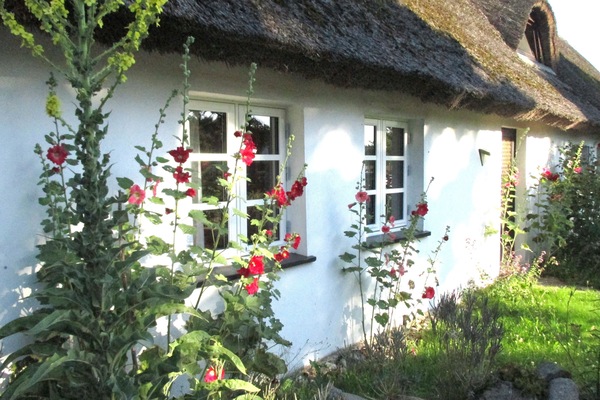 Ferienwohnung im alten Reetdachhaus