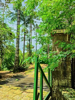 Nhà, 3 phòng ngủ, phù hợp cho người khuyết tật, hút thuốc | Vườn