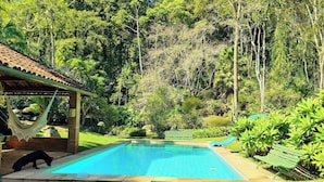 A swimming pool surrounded by lush greenery and a hammock. - Paradisiacal Site in National Park (Teresópolis)