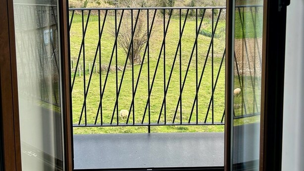 A balcony with a view of a grassy field and mountains.