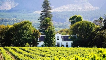 Bodega de vino