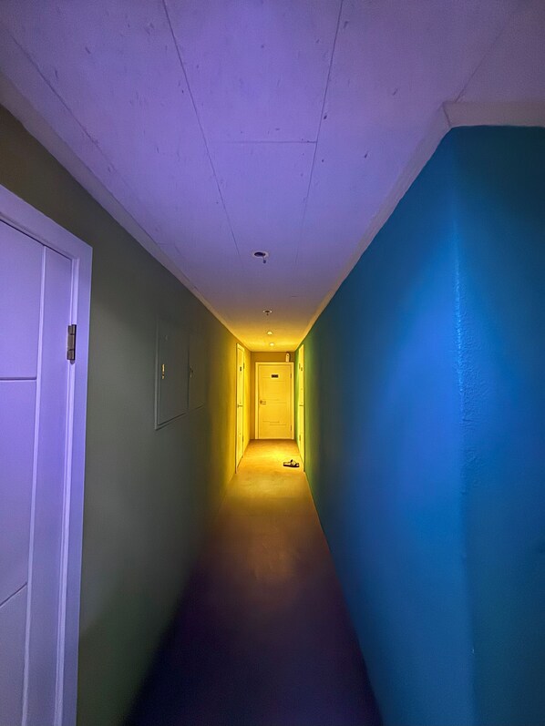 A narrow hallway with a carpeted floor, a door on the left, and a blue wall on the right. - Sunrise Inn (Seoul)