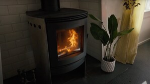 A wood-burning stove with visible flames, a potted plant, and a tiled wall.
