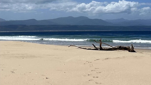 A beach with a clear sky, calm sea, and distant mountains. - Dune • has a pool • 600m to Beach Robberg 5 (Plettenberg Bay)