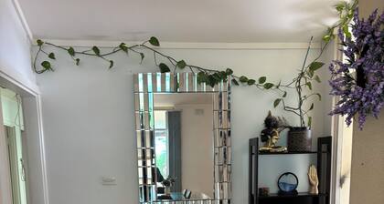 Sunflower Homes Classy and Cozy