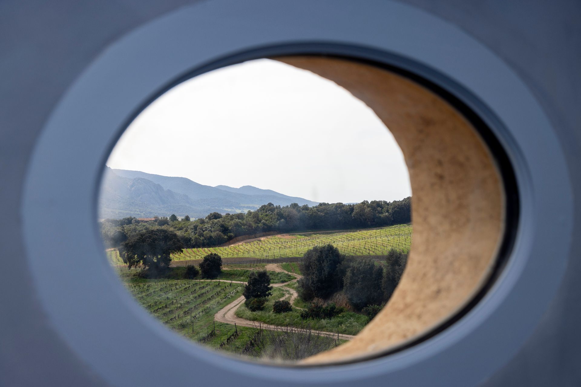 A view through a window with a circular frame, revealing a vineyard landscape with rows of grapevines and distant mountains.