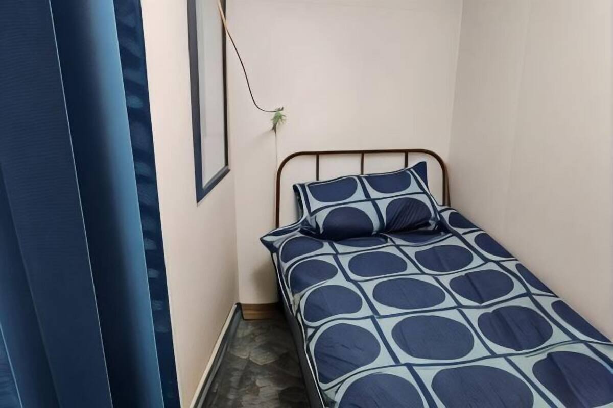A single bed with a geometric patterned bedspread, a wall-mounted plant, and a framed picture on the wall.