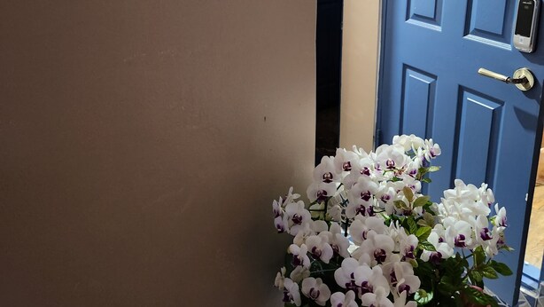 Ein Flur mit einer blauen Tür und einem Topf mit einer Orchidee.