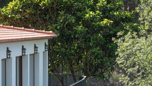Un balcon avec une balustrade donnant sur une étendue d’eau, un bâtiment blanc avec un toit rouge, et une végétation luxuriante en arrière-plan.