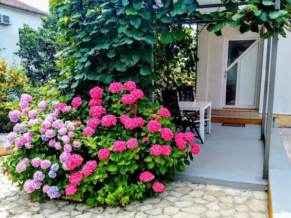 Terrasse/gårdhave