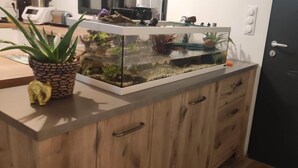 Un acuario sobre un mueble de madera con una planta en maceta a su lado.