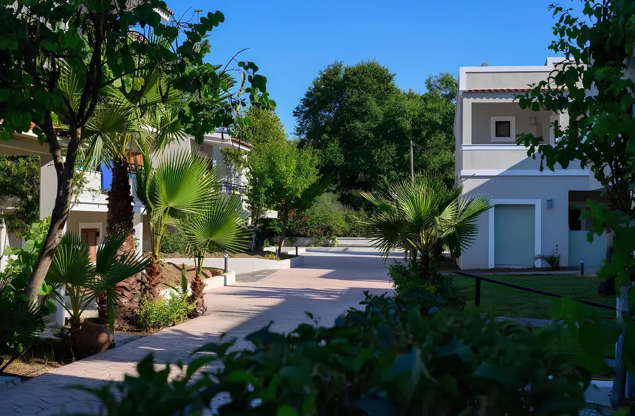 Zona residencial con casas modernas, un sendero pavimentado y abundante vegetación.