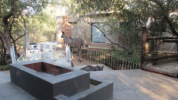 Enceinte de lâhĂ©bergement