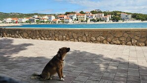 A stone wall with a dog sitting on a paved area overlooking a coastal town with buildings and a beach.