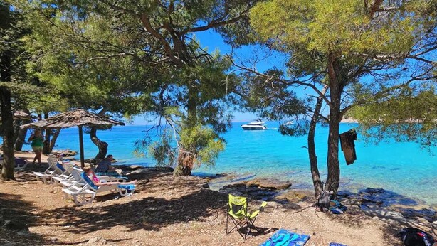 A beach with clear blue water, a boat in the distance, and people relaxing under trees.