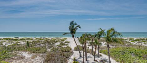 A beach pathway lined with palm trees and vegetation, leading to the ocean.